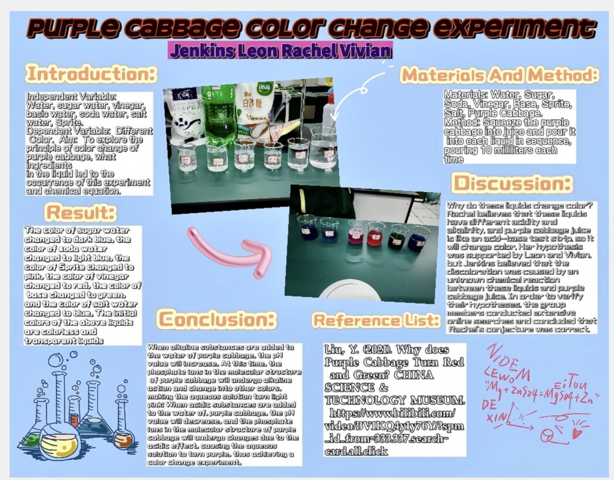 Purple Cabbage Colour Change Experiment