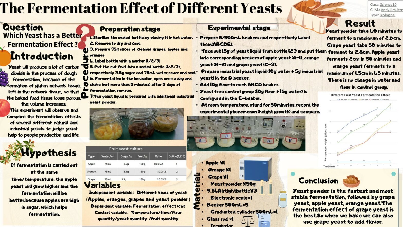 The Fermentation Effect of Different Yeasts