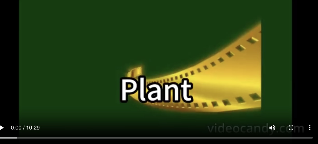 The relationship between plants and nutrients