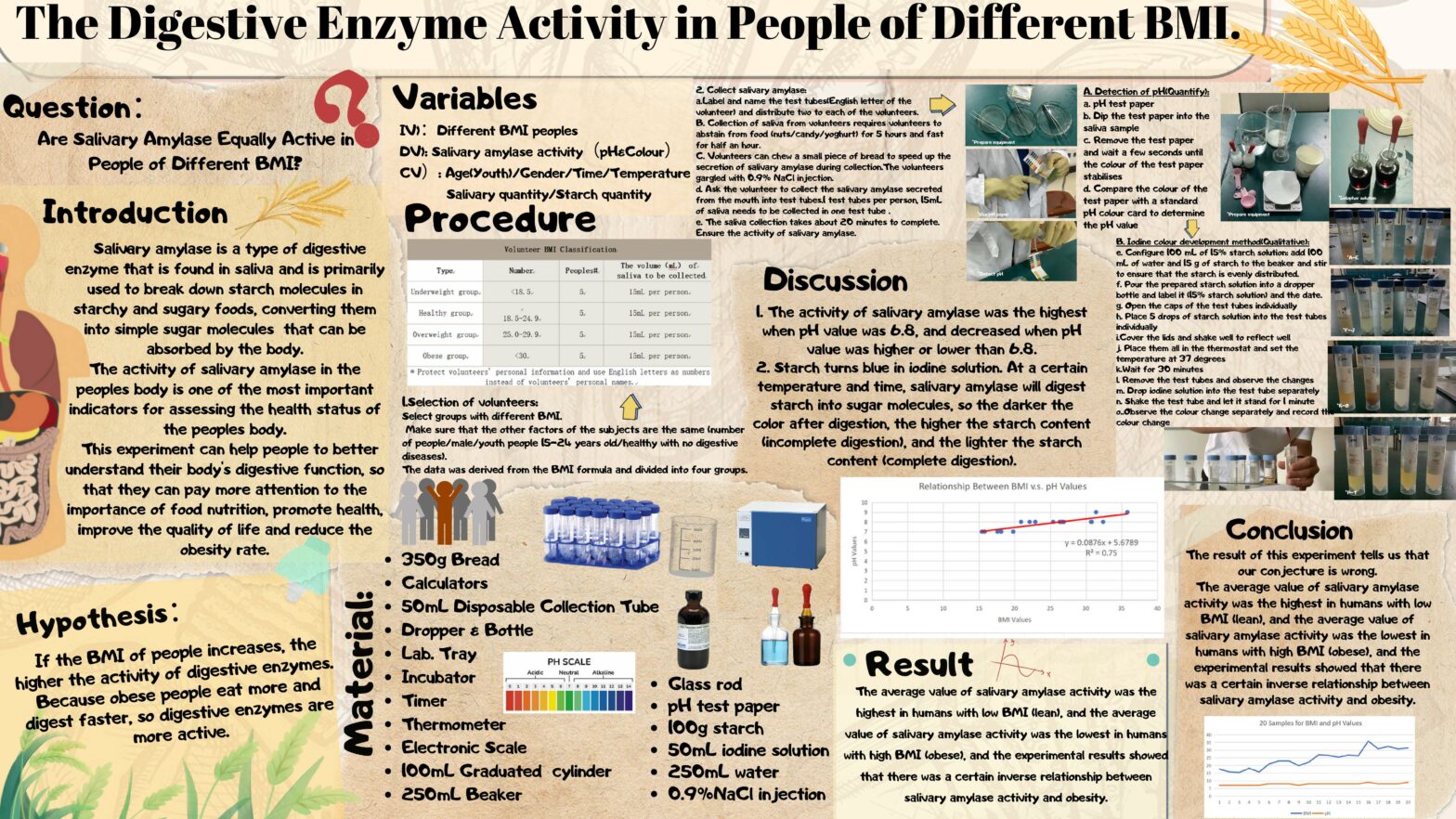 The Digestive Enzyme Activity in People of Different BMI