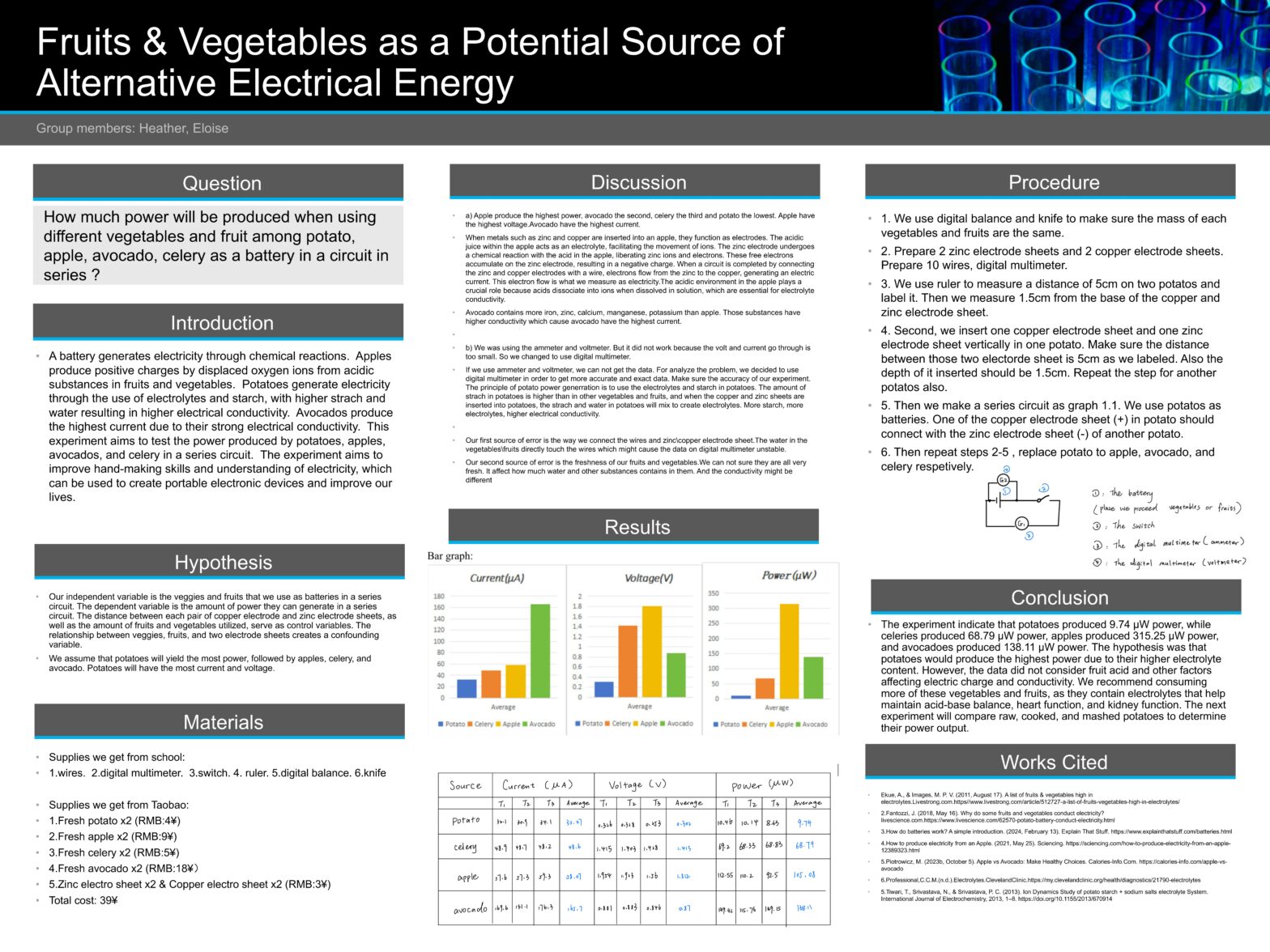 Fruits and vegetables as a potential source of alternative electrical energy